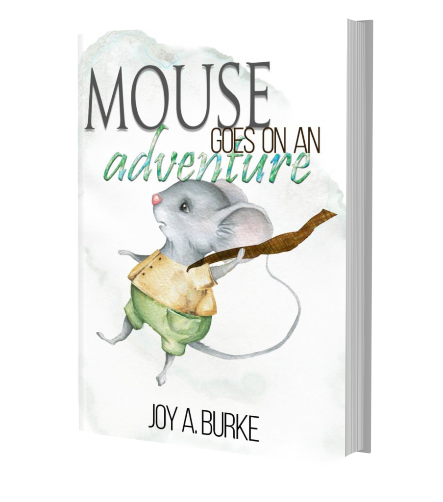 Mouse Goes on an Adventure Cover